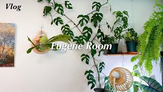 식물VLOG 실내식물 키우기 /번식과 새순보는 재미/ Houseplant Tour