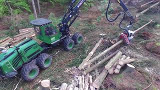 Forstarbeiten mit Harvester am Benther Berg