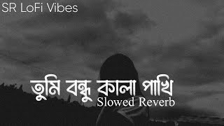 Tumi Bondhu Kala Pakhi || তুমি বন্ধু কালা পাখি | Lyrics Video | Chanchal Chowdhury || SR Lofi Vibes