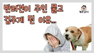 세상 부족한 것 없이 사랑으로 길러온 반려견에게 깨물리고 공격당하고 있는 이유 바로 이겁니다.