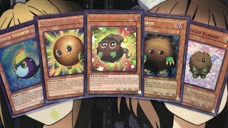 My Kuriboh Yugioh Deck Profile for May 2020