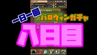 【毎日１回ゆっくり実況】おっさんのゴッドフェス外伝　ハロウィンガチャ8日目【パズドラ】