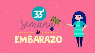 ¡Te presentamos el Dibu 33 del embarazo!