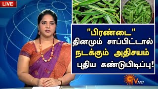 பிரண்டை தினமும் சாப்பிட்டால் நடக்கும் அதிசயம் | Benefits of Pirandai in Tamil | Health tips tamil