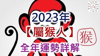 2023年屬猴人的全年運勢詳解
