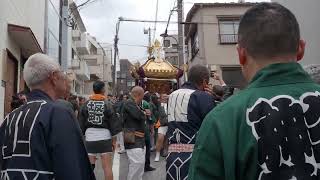 四谷総鎮守　須賀神社　例大祭　坂町　本社神輿渡御　2024/06/02  c7