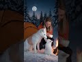 heartwarming moment kind female skier helps snow fox give birth successfully