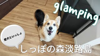 【Welsh Corgi Penbloke】しっぽの森淡路島リゾートにコーギーもなかさんとお泊まりしてきました！〜Awaji Island〜