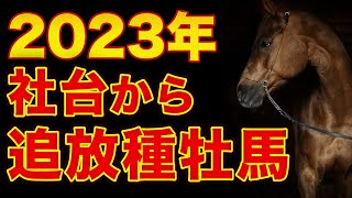 2023年に社台SSから追放される種牡馬たち