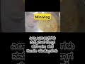 ಮದುವೆ ಮನೆ ಶೈಲಿಯ ಸಾಂಬಾರ್ middleclassfamilyvlogs lifelessons