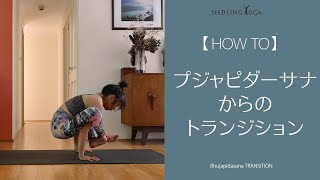 【HOW TO】プジャピダーサナからのトランジション、足を抜くポイント/ Bhujapidasana Transition