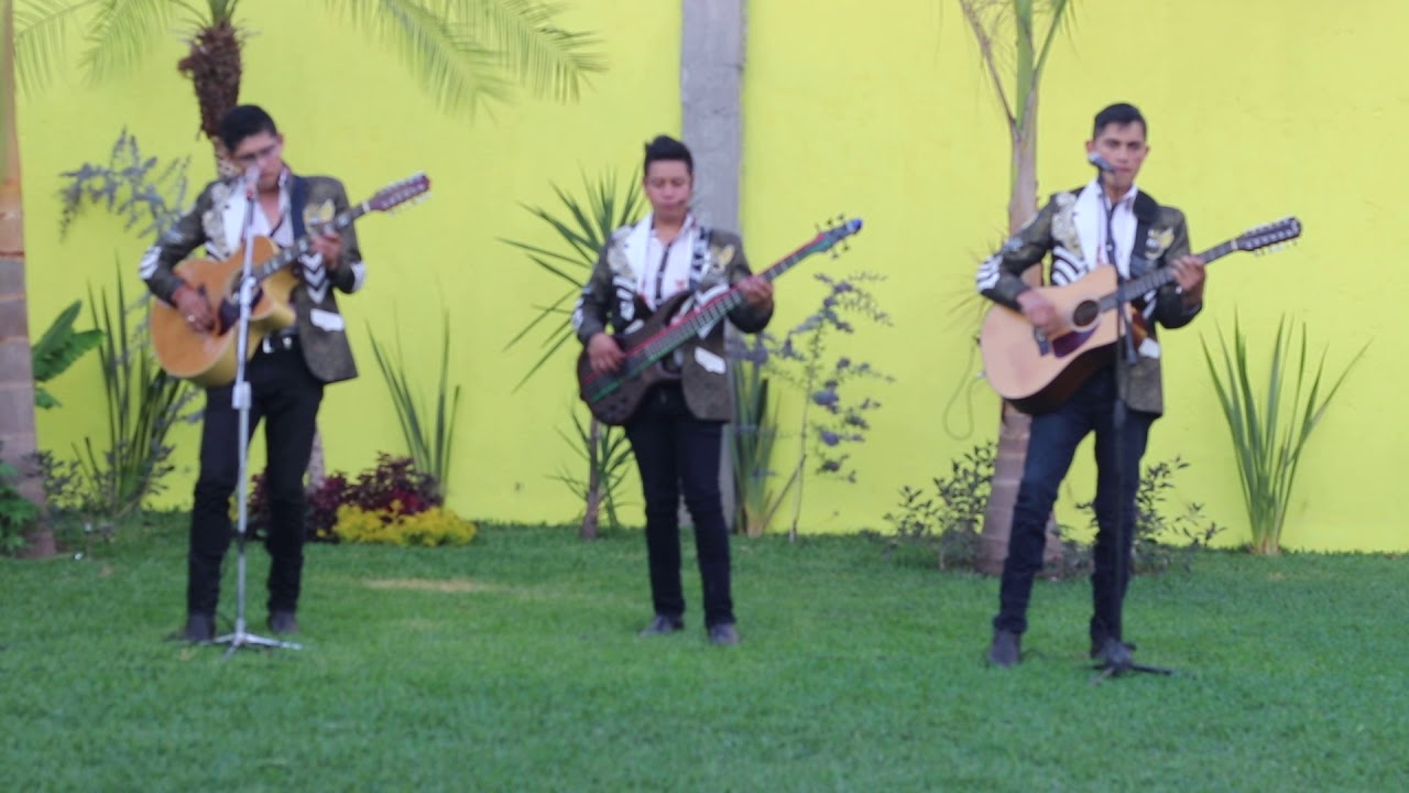 Legado 7 De Periodico Un Gallito Lyrics