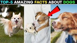 कुत्तों से जुड़े कुछ रोचक तथ्य। Amazing facts about Dogs । Facts । #shorts #ytshorts #facts #viral