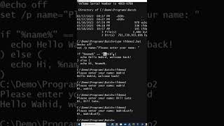 Windows Batch Script: The IF statement Example
