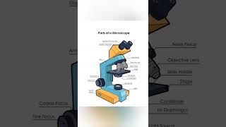 parts of microscope