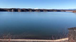 多摩湖 (村山貯水池) 狭山公園  東京都東大和市 2025.2.9 #dam #lake