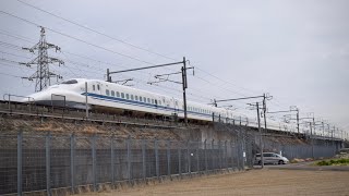 【引退迫る】700系C53編成(ラストランラッピング) 団体臨時列車(のぞみ311号) 豊橋〜三河安城