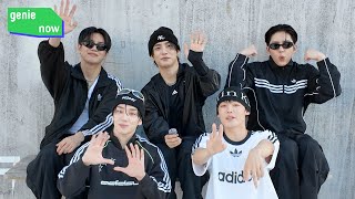 [genie lamp✨] 에이스 (A.C.E) 지니램프 오픈 인사 메시지💌 | #에이스 #ACE