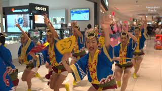 本場徳島阿波おどり・うきよ連_イオンモール徳島②_20190814 Awaodori in Tokushima Japan