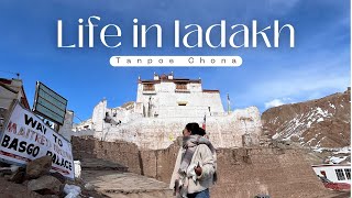 In awe of how beautiful \u0026 majestic Basgo Gonpa/Palace is 🥹 #vlogger #ladakh #india #video #video