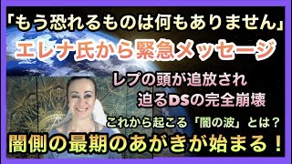 #260 「もう恐れるものは何もありません」エレナ・ダナーン氏からすべての地球人類へ...「最後の闇の波」とは【スピラジ】