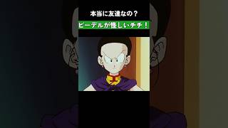 本当に友達なの？ビーデルが怪しいチチ！ #ドラゴンボール  #dragonball