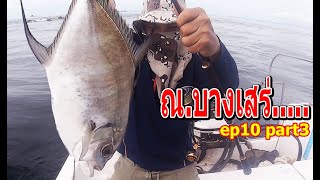 ตกปลาทะเลมันส์ๆ ep2 l ตกปลาโฉมงามที่บางเสร่ พัทยา l Fishing trips videos thailand