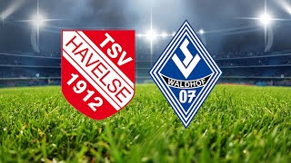 3. Liga: TSV Havelse - Waldhof Mannheim (das komplette Spiel) | SWR Sport