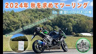 【Kawasaki Ninja1000SX】2024年秋を求めてツーリング　 in 波豆川コスモス畑