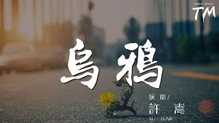 許嵩 - 烏鴉『當我又飛到這裏 俯瞰着模糊山頂』【動態歌詞Lyrics】