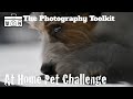 Photographing Pets at Home - The Photography Toolkit