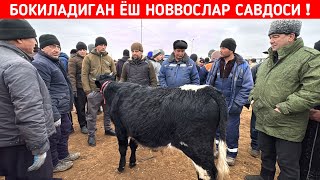 БОКИЛАДИГАН ЁШ НОВВОСЛАР САВДОСИ ЭРТАЛАБГИ САВДОЛАР !!! ХОРАЗМ БОЗОР