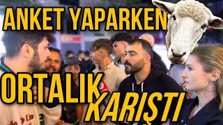 ANKET YAPARKEN ORTALIK KARIŞTI!!! | ANTALYA'DA DEV ANKET