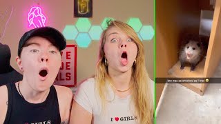 Try Not To Laugh TikTok Challenge! Pt. 2 - Hailee And Kendra