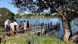 [JAPAN/TOKYO]Shibamata Edo River Yagiri-no-watashi walking scenery[Edogawa]