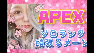 APEX生放送(女性配信者)雑談配信(　´･ω･ ` )σソロランク