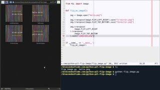 How to flip / mirror an image in Python using PIL?