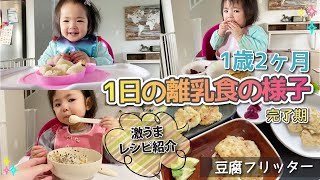 1歳2ヶ月 1日の離乳食 完了期 【激うまレシピも紹介】健康豆知識も盛り込み 【健康オタク】何食べる？ どうやって食べる？ 形や固さや味付けは？/ 14 months old baby eating