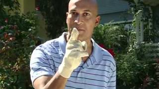 MADtv Allergy Medication