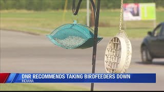 DNR says Hoosiers should remove birdfeeders statewide