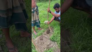 কারো পোষ মাস কারো সর্বনাশ । Easy Village Life