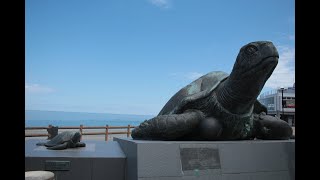 小さな窓の花ごよみ 1449 糸魚川～親不知道の駅へ  ♪ 水上の音楽 エア  ヘンデル ♪