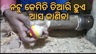 ଆସ ଜାଣିବା ନଟୁ କେମିତି ତିଆରି ହୁଏ / Natu kemiti tiari hua  // kuchvi dekha