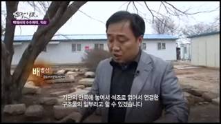 한국사 탐(探) - 백제사의 수수께끼, 익산 / YTN DMB 한국사 탐(探) - 백제사의 수수께끼, 익산 / YTN DMB