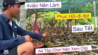 4 việc nên làm giúp mai phục hồi mạnh sau chơi Tết