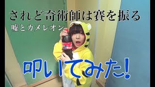 【叩いてみた】されど奇術師は賽を振る/嘘とカメレオン