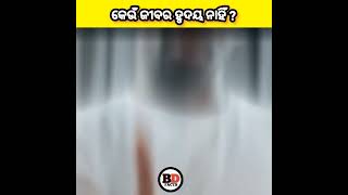 କେଉଁ ଜୀବର ହୃଦୟ ନାହିଁ ? ODIA AMAZING FACTS  // BD FACTS ODIA