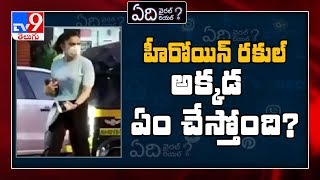 Edi Viral Edi Real: Rakul bought liquor from stores? - TV9