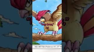 Pokemon Cards that Tell Stories: Pidgeot  #pokemon #pokemontcg #pokemontcgpocket