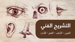 تشريح فني | طريقة رسم العين والأنف والفم والأذن